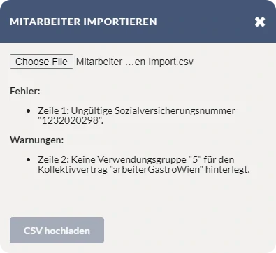 Anzeige Fehler in Datensatz bei Import Tool